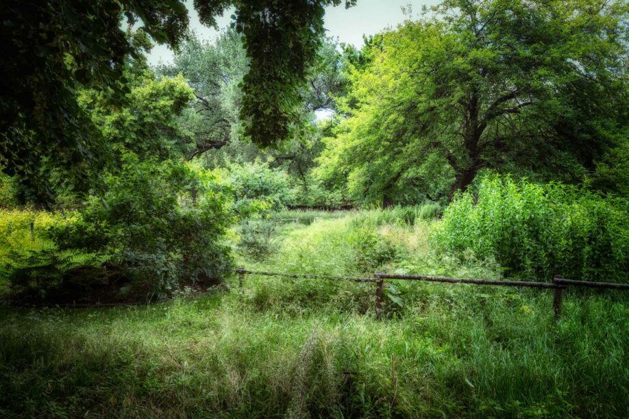 En ce jardin, le paradis - Jardin des plantes - Paris - Marc Dumas
