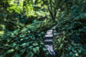 En ce jardin, le paradis - Jardin des plantes - Paris - Marc Dumas