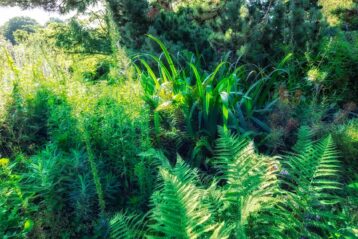 En ce jardin, le paradis - Jardin des plantes - Paris - Marc Dumas