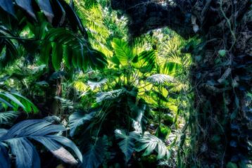 En ce jardin, le paradis - Jardin des plantes - Paris - Marc Dumas