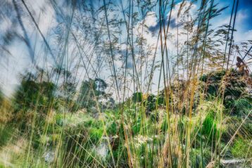 En ce jardin, le paradis - Jardin des plantes - Paris - Marc Dumas